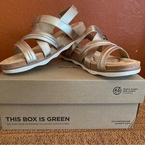 Clarks Rose Gold Brynn Step Shoes